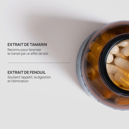 Transit Flash - Etna Laboratoire & Fabricant Français