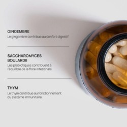 Gastro Biotic Flash - Etna Laboratoire & Fabricant Français