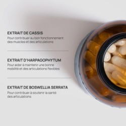 Articulation Complex - Etna Laboratoire & Fabricant Français