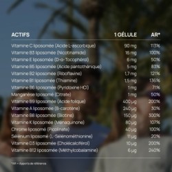 Multivitamin Lipo Complex - Etna Laboratoire & Fabricant Français